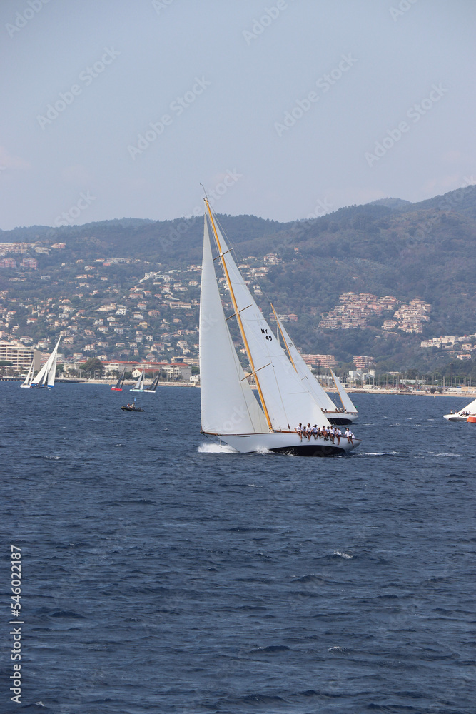 Fototapeta premium Cannes Classic Sailing Event