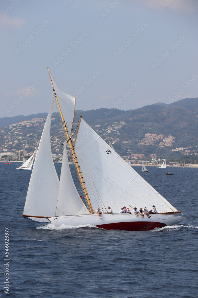 Fototapeta premium Cannes Classic Sailing Event