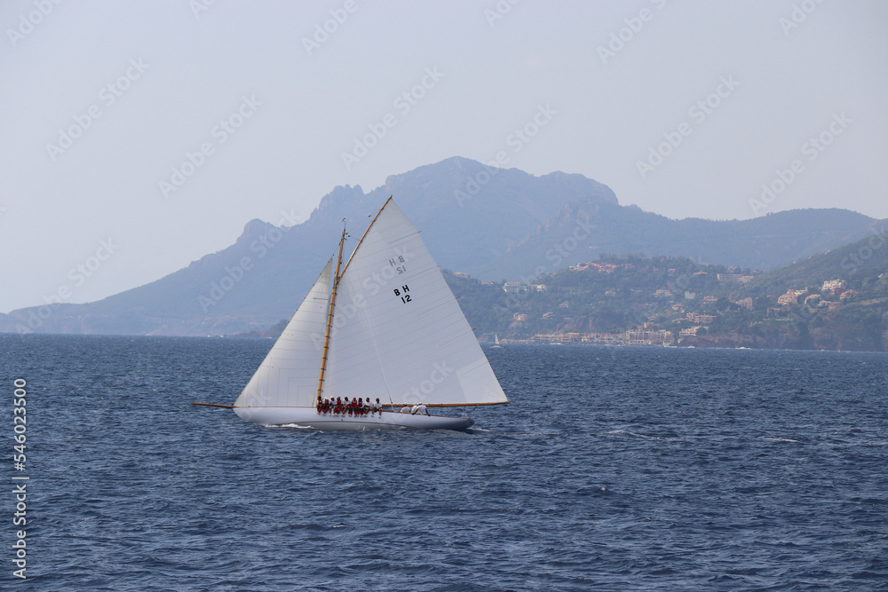 Fototapeta premium Cannes Classic Sailing Event