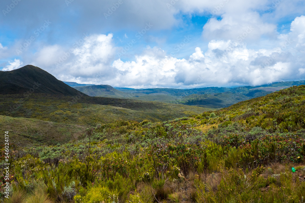Scenic mountain landscapes at Mount Kenya National Park, Kenya
