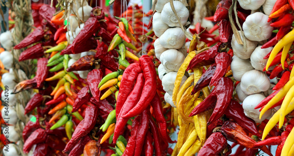 Dry peppers: Pimientos Choriceros, dry hot guindilla peppers, and Piparras-Basque green peppers hanging.