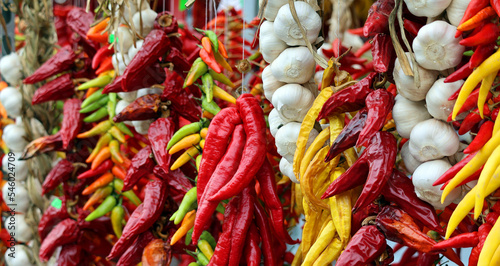 Dry peppers: Pimientos Choriceros, dry hot guindilla peppers, and Piparras-Basque green peppers hanging. photo