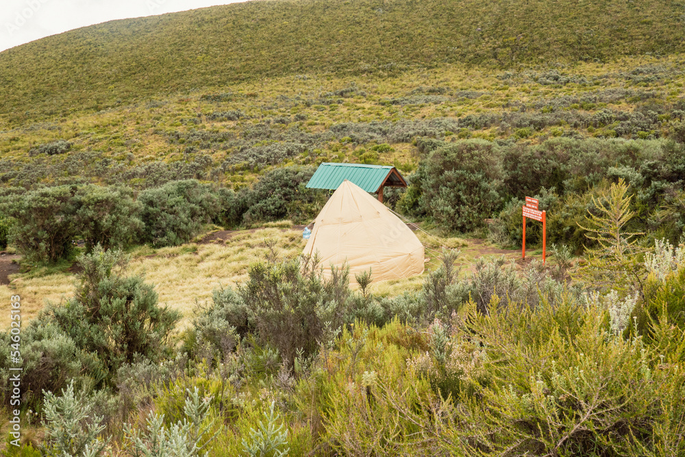 A safari van and a tent at Road Head campsite on Chogoria Route, Mount Kenya National Park, Kenya