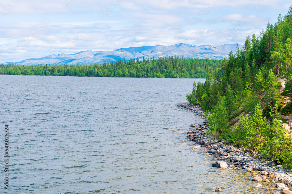 Rocky shore of the northern lake, hills in a pine forest Rocky shore of the northern lake, hills in a pine forest