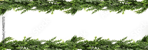 Christmas frame with snow-covered branches of fir-pine, with cones, isolated on white background. Christmas and New Year concept. Banner © Syrtseva Tatiana