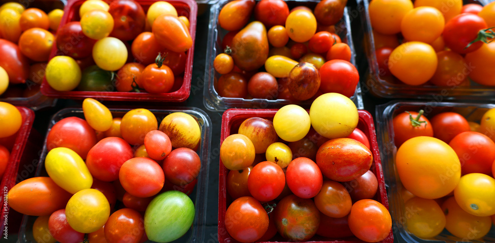 Cherries tomatoes at the Jean-Talon Market is a farmer's market in Montreal. Located in the Little Italy district, the market is bordered by Jean-Talon Street Cherries tomatoes at the Jean-Talon Market is a farmer's market in Montreal. Located in the Little Italy district, the market is bordered by Jean-Talon Street