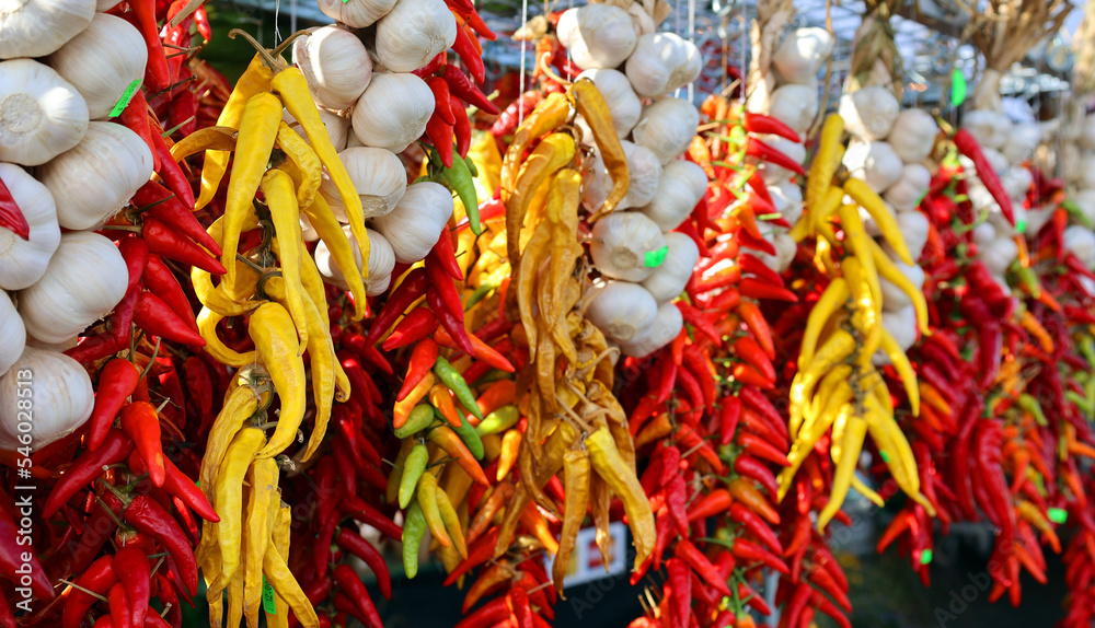 Fototapeta premium Dry peppers: Pimientos Choriceros, dry hot guindilla peppers, and Piparras-Basque green peppers hanging.