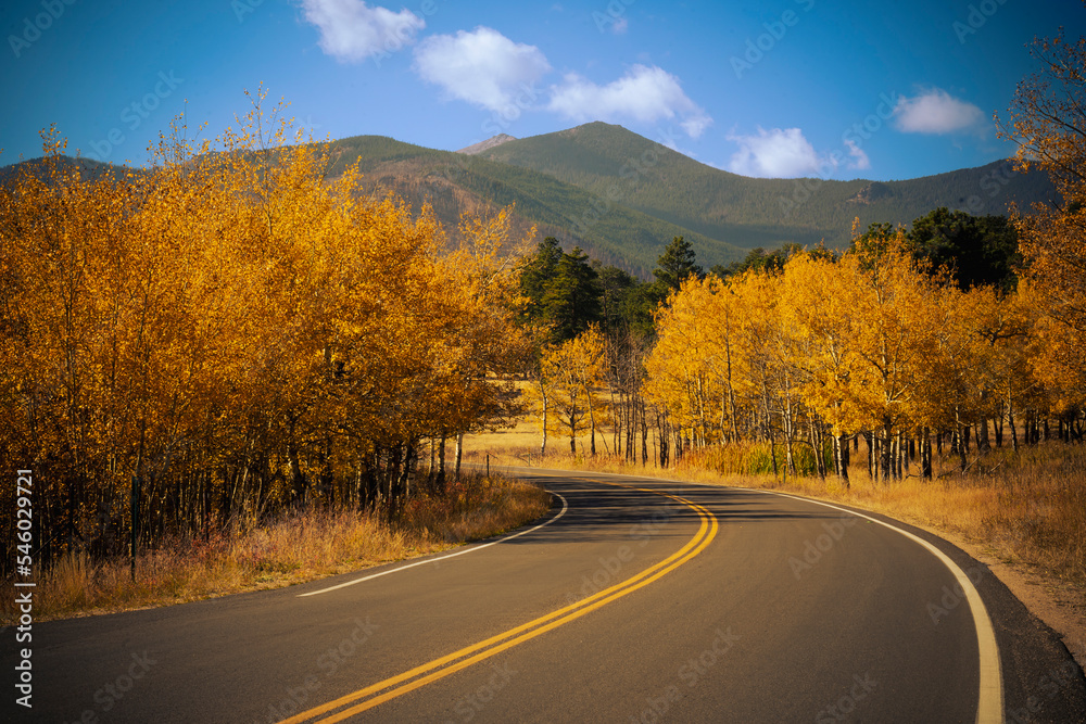 Fototapeta premium fall scene at rocky mountain national park