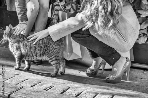 Two girls shopping and touching a cat along the city streets