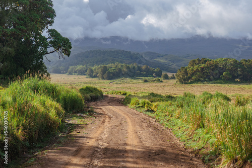A dirt road against a mountain background at Chogoria Route, Mount Kenya photo
