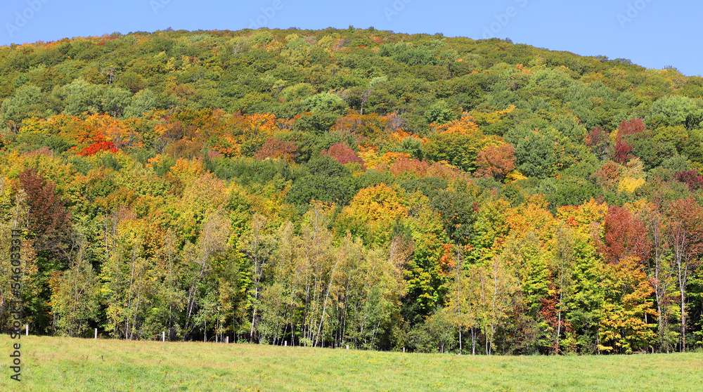 Naklejka premium Fall landscape reflection Bromont Eastern Township Quebec province Canada