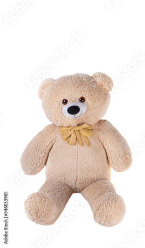 big bear toy isolated