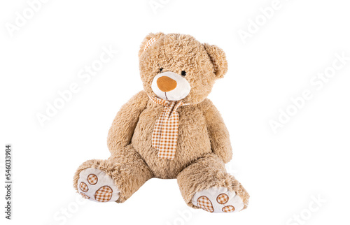 big bear toy isolated