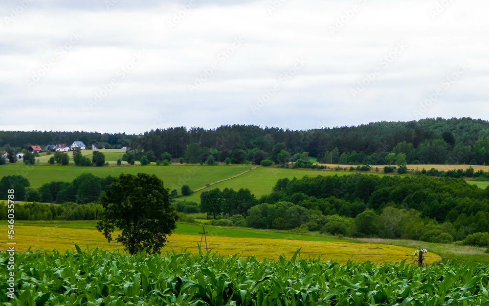 Fields and meadows of Wiezyca, Kashubia region, Poland