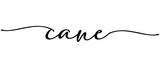 Cane - Continuous one line calligraphy with Single word quotes. Minimalistic handwriting with white background