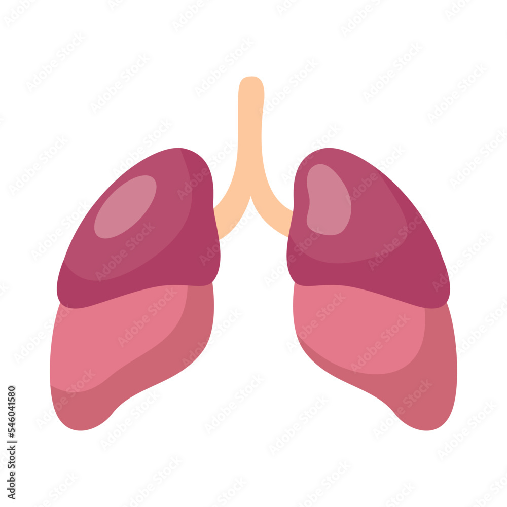 Lungs icon, flat style. Internal organs of the human design element, logo. Anatomy, medicine concept. Healthcare. Isolated on white background. Vector illustration Lungs icon, flat style. Internal organs of the human design element, logo. Anatomy, medicine concept. Healthcare. Isolated on white background. Vector illustration