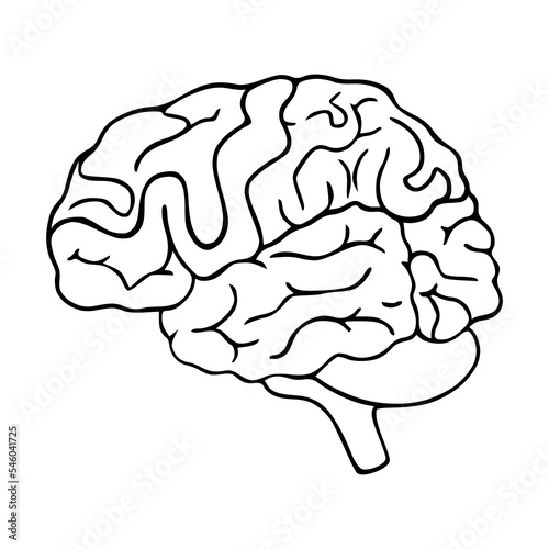 Human brain medical vector icon illustration isolated on white background