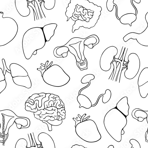 Human internal organs seamless pattern. Stomach, kidney, brain, lungs, heart, liver, uterus, intestine, bladder. Vector illustration in line art style isolated on background. Outline design