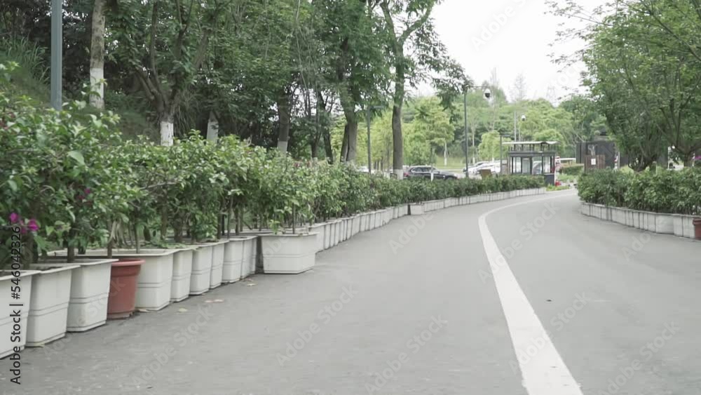 Video panning over an empty narrow road lined with potted flower bushes in a park Video panning over an empty narrow road lined with potted flower bushes in a park