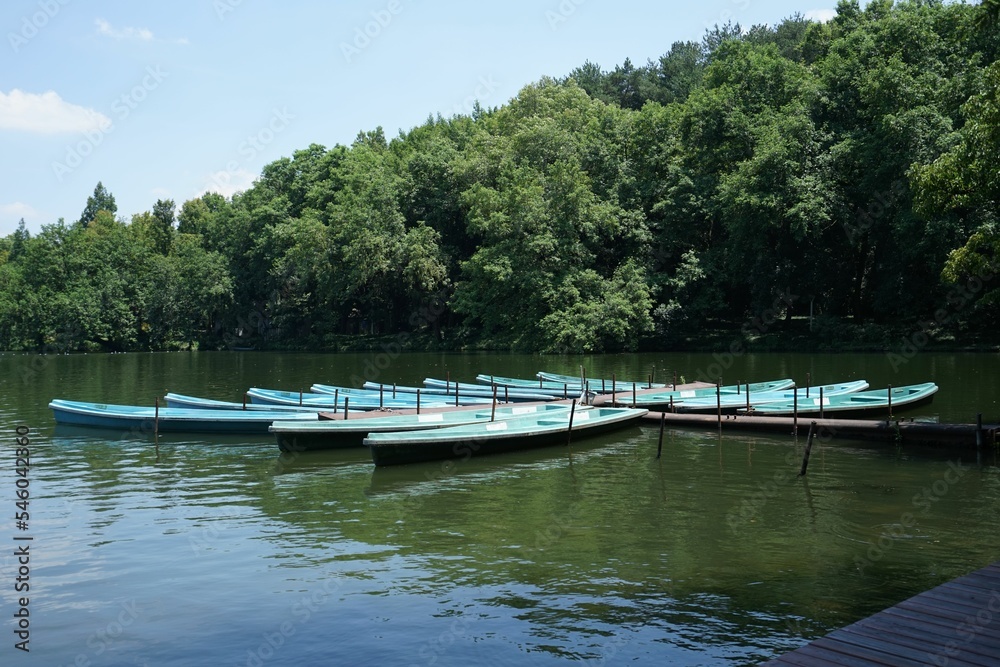 Rowboats organised to form a flower shape on west lake, Hanghzou, China