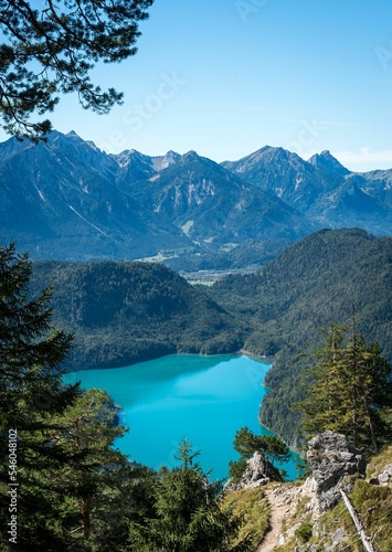 Vertical shot of Alpsee Lake surrounded by forests with a mountain range in the background, Germany