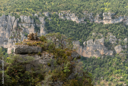 Gorges du Tarn in Cevennes National Park.