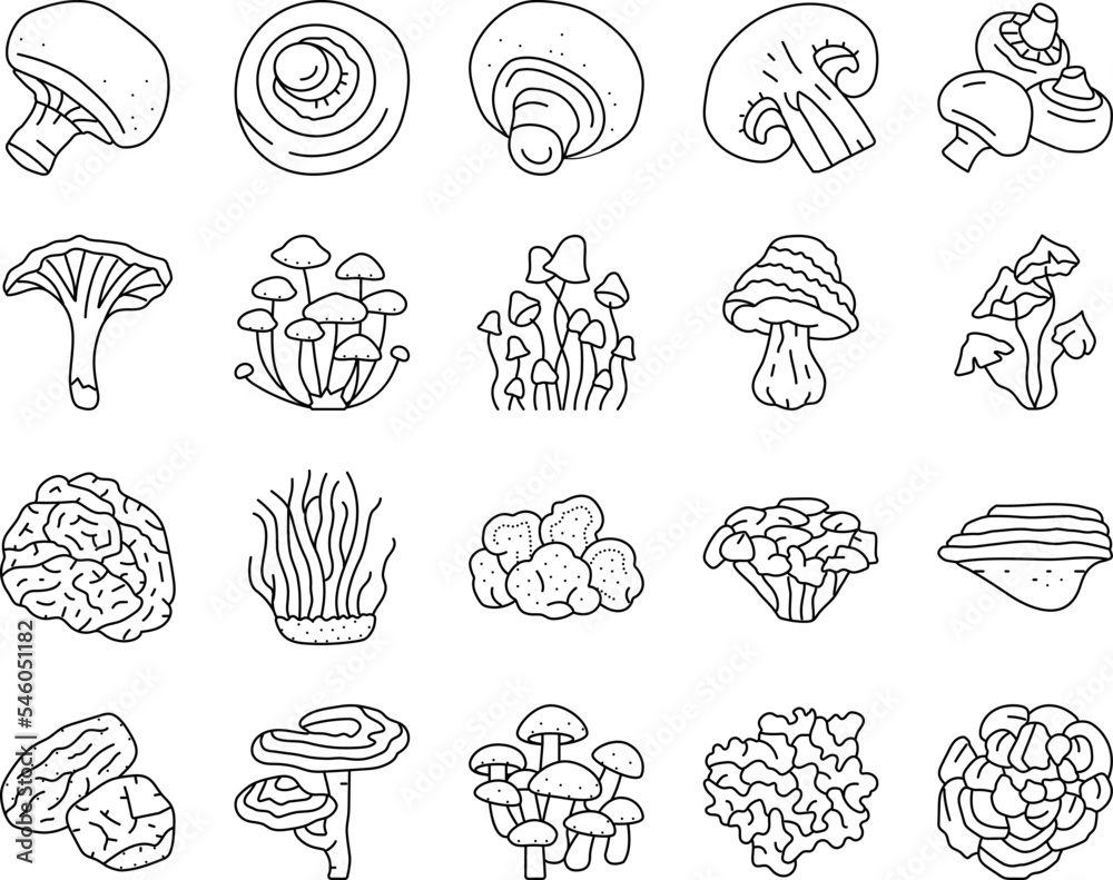 mushroom food forest fungi icons set vector - obrazy, fototapety, plakaty 