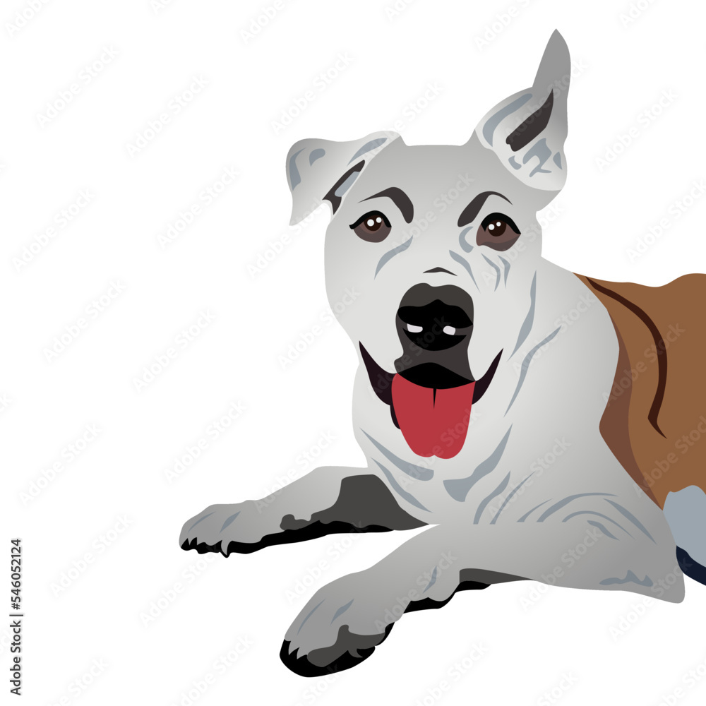 Dog Vector, Dog vector design template, dog art, dog illustration, colorful dog drawing, lovely dog drawing, Dog vector art. 