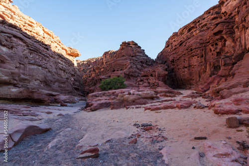 Amazing nature landscape of famous Coloured Canyon, bizarre rock formation located in the Sinai mountain range, Sinai peninsula, Egypt. Outdoor travel background, popular tourist attraction