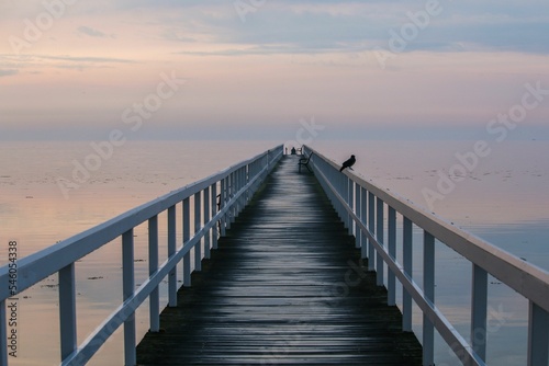 Pier with a perched bird on the handrail against the background of the sea at sunset.