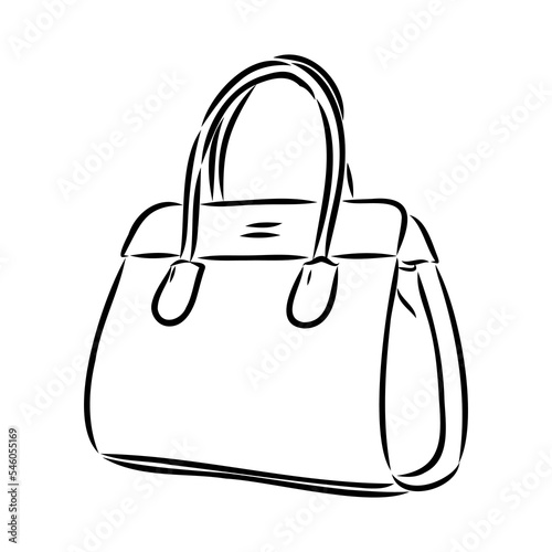 Sketches of bags. Vector fashion illustration. Women's Bags Hand Drawn Purses set of women's fashion accessories. vector illustration handbags
