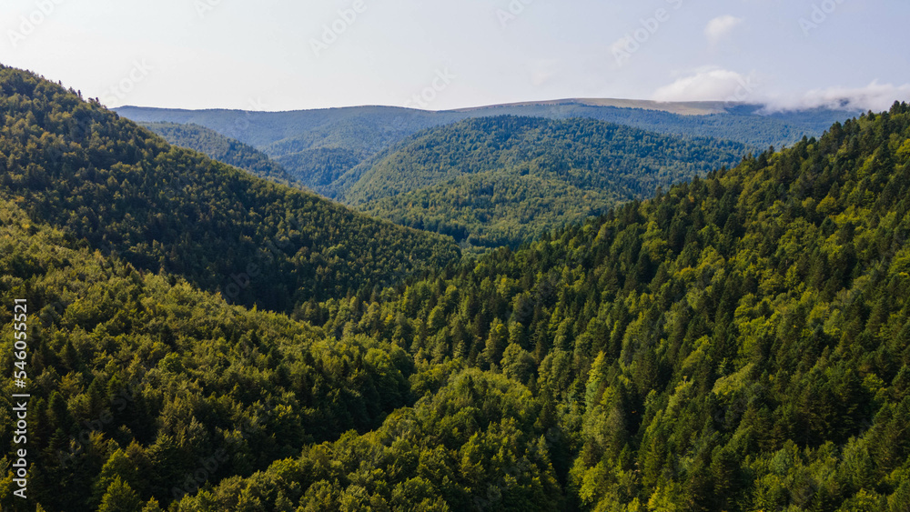 Drone view of mountains and green pine trees in Spain covered with forest