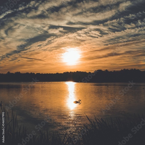 Beautiful sunset over the lake with a swan swimming in it.