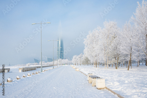 Winter landscape, trees in the snow