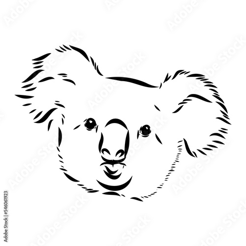 Koala bear animal on tree sketch engraving vector illustration. Scratch board style imitation. Black and white hand drawn image.