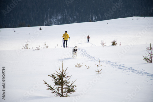 man and dog trekking in big snow in mountains in winter