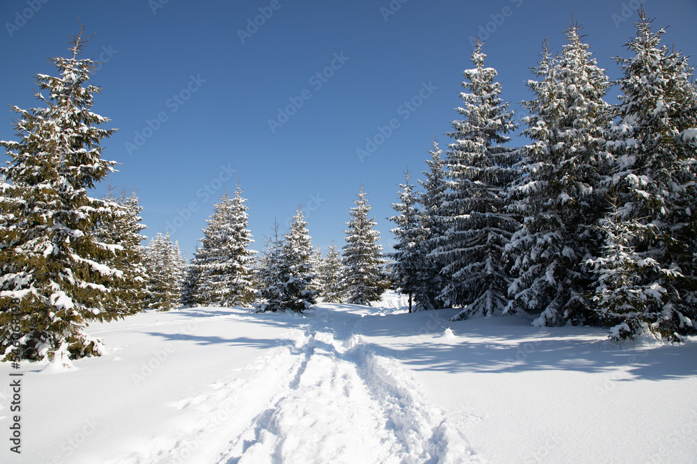 beautiful winter landscape with snowy fir trees