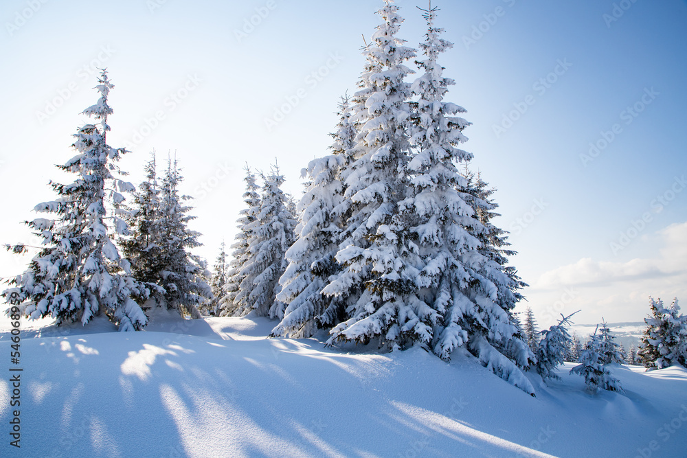 beautiful winter landscape with snowy fir trees