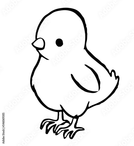 Coloring book for kids, Cute little chick