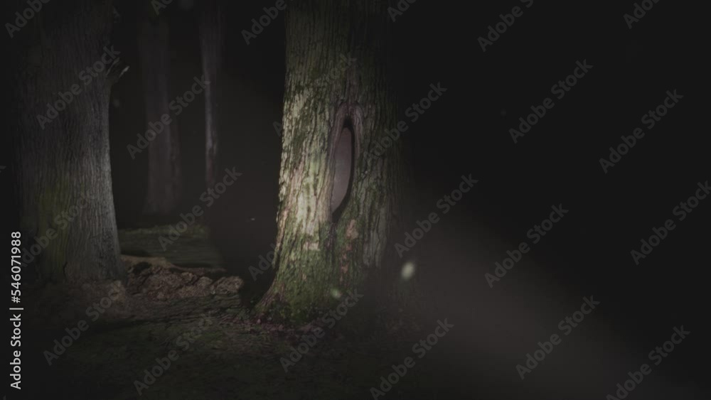 A giant monster eye staring from a tree hollow. Scary dark forest handheld POV camera footage. Cinematic Halloween 3D animation.