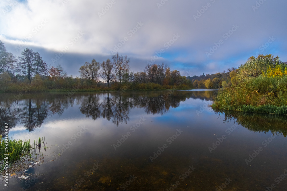 reflection of trees in the lake