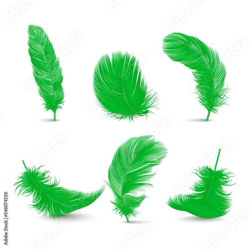 Vector 3d Realistic Green Fluffy Feather Set Isolated on White Background. Design Template of Flamingo, Angel, Bird Detailed Feathers. Lightness,Freedom Concept