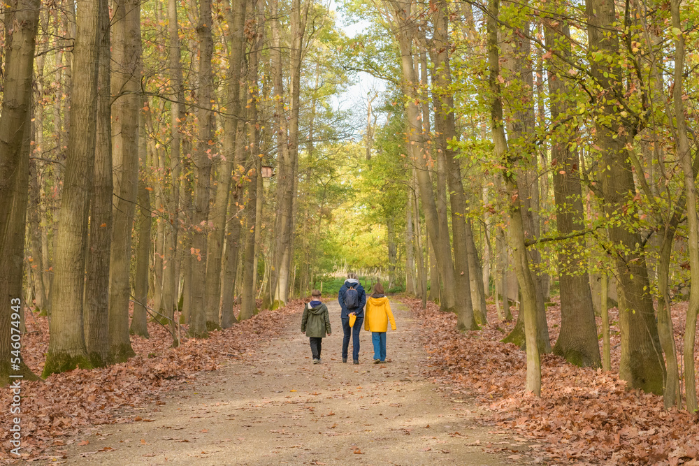 Obraz premium Family walk in the autumn park along the path in the forest. Mom with children boy and girl