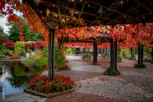 Pagoda with autumn leaves in city park Planten un blomen in Hamburg