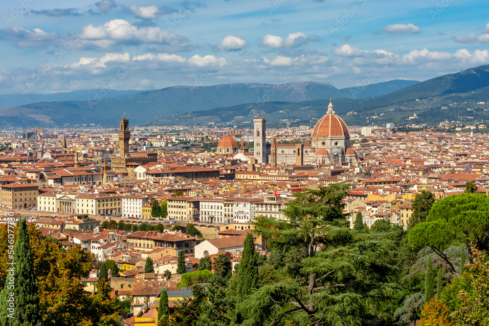 Florence cityscape with Duomo cathedral and Palazzo Vecchio palace over city center, Italy