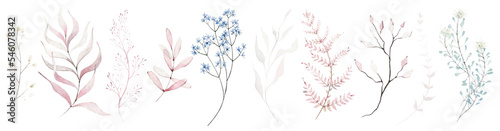 Fotografia Watercolor floral set of pink and  blue dried eucalyptus, leaves, wild plants, flowers, branches, twigs etc