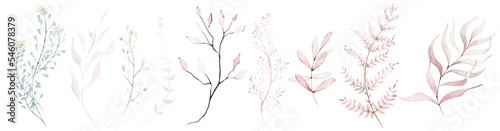 Fotografija Watercolor floral set of pink and  blue dried eucalyptus, leaves, wild plants, flowers, branches, twigs etc