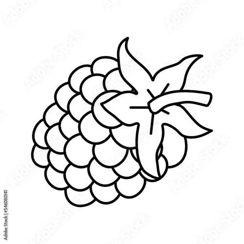 puree blackberry line icon vector illustration