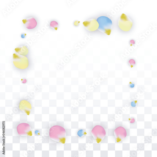 Vector Realistic Colorful Petals Falling on Transparent Background.  Spring Romantic Flowers Illustration. Flying Petals. Sakura Spa Design. Blossom Confetti. Design Elements for Wedding Decoration. © Feliche _Vero