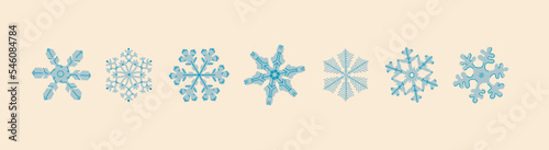 Various snowflakes set in outline cartoon style. Different ice crystals shapes. Winter decoration concept. Frozen gentle stars vector illustration. Symmetric Hexagon ornament. All items are isolated